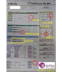 치료 전