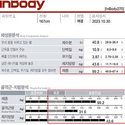 전후사진