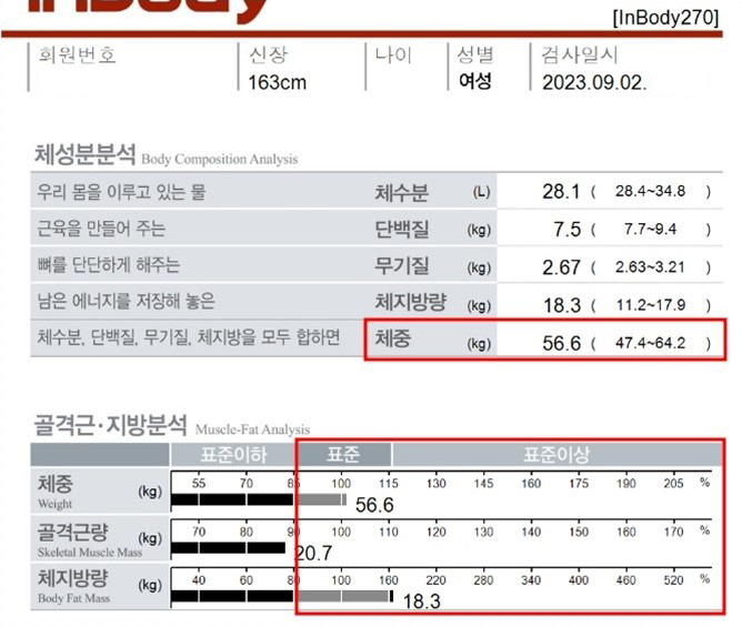 전후사진