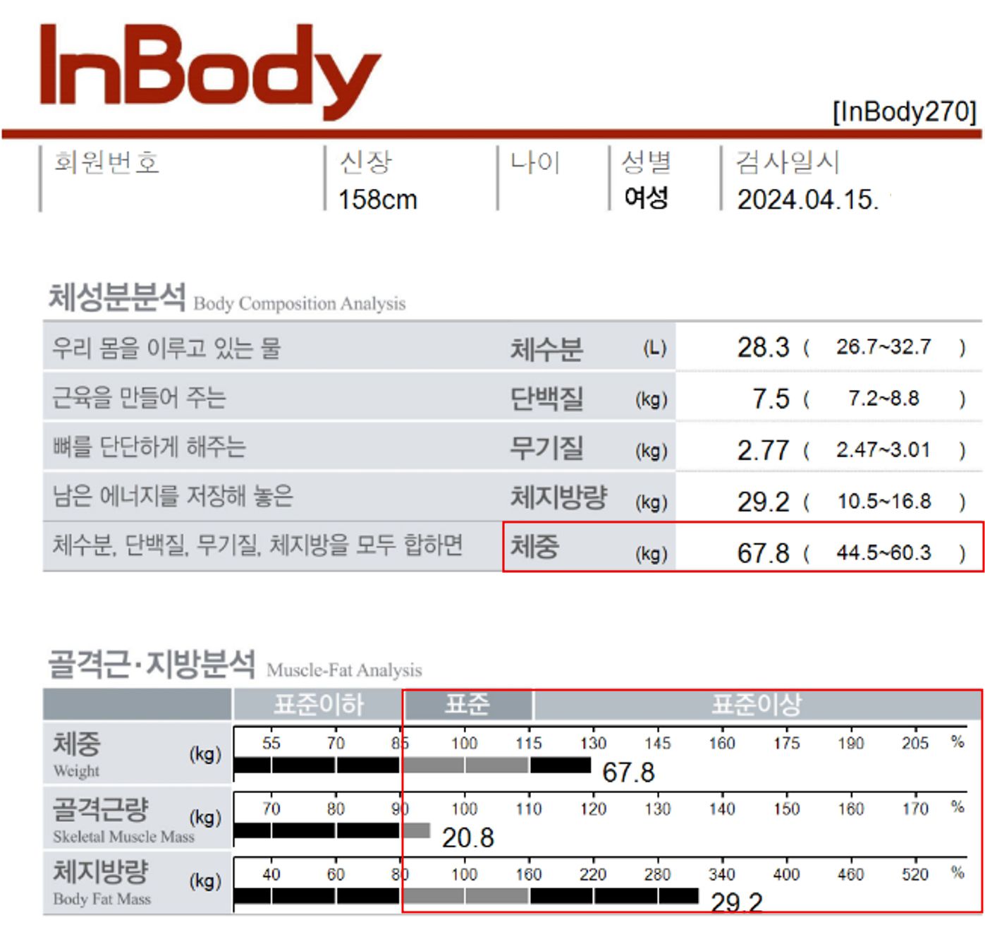 전후사진