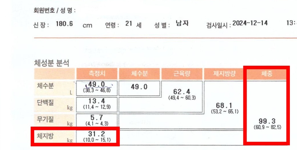 전후사진