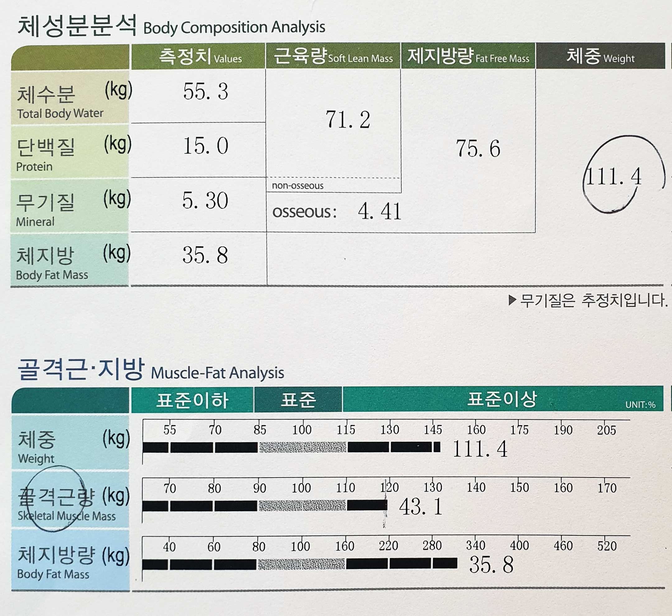 전후사진