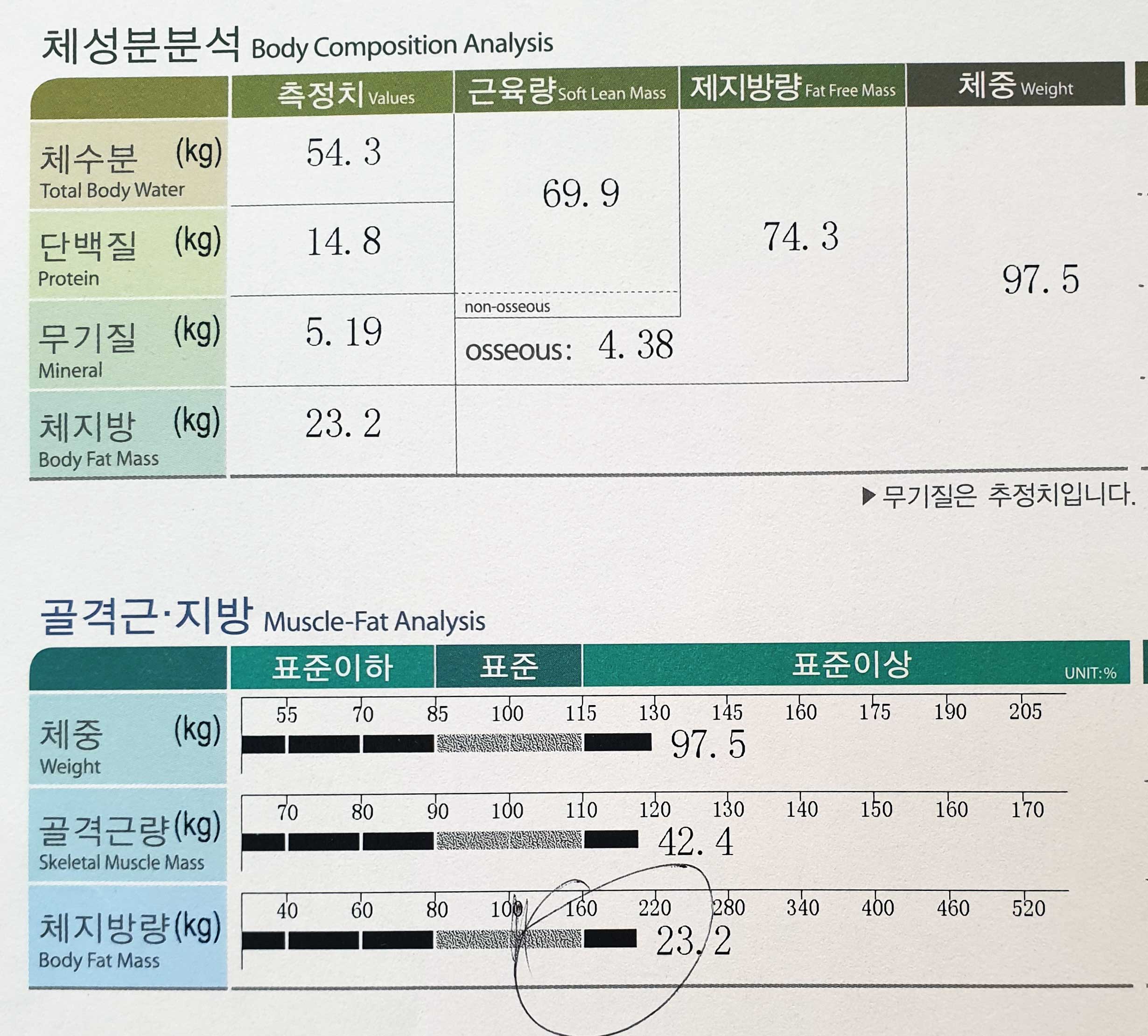 전후사진
