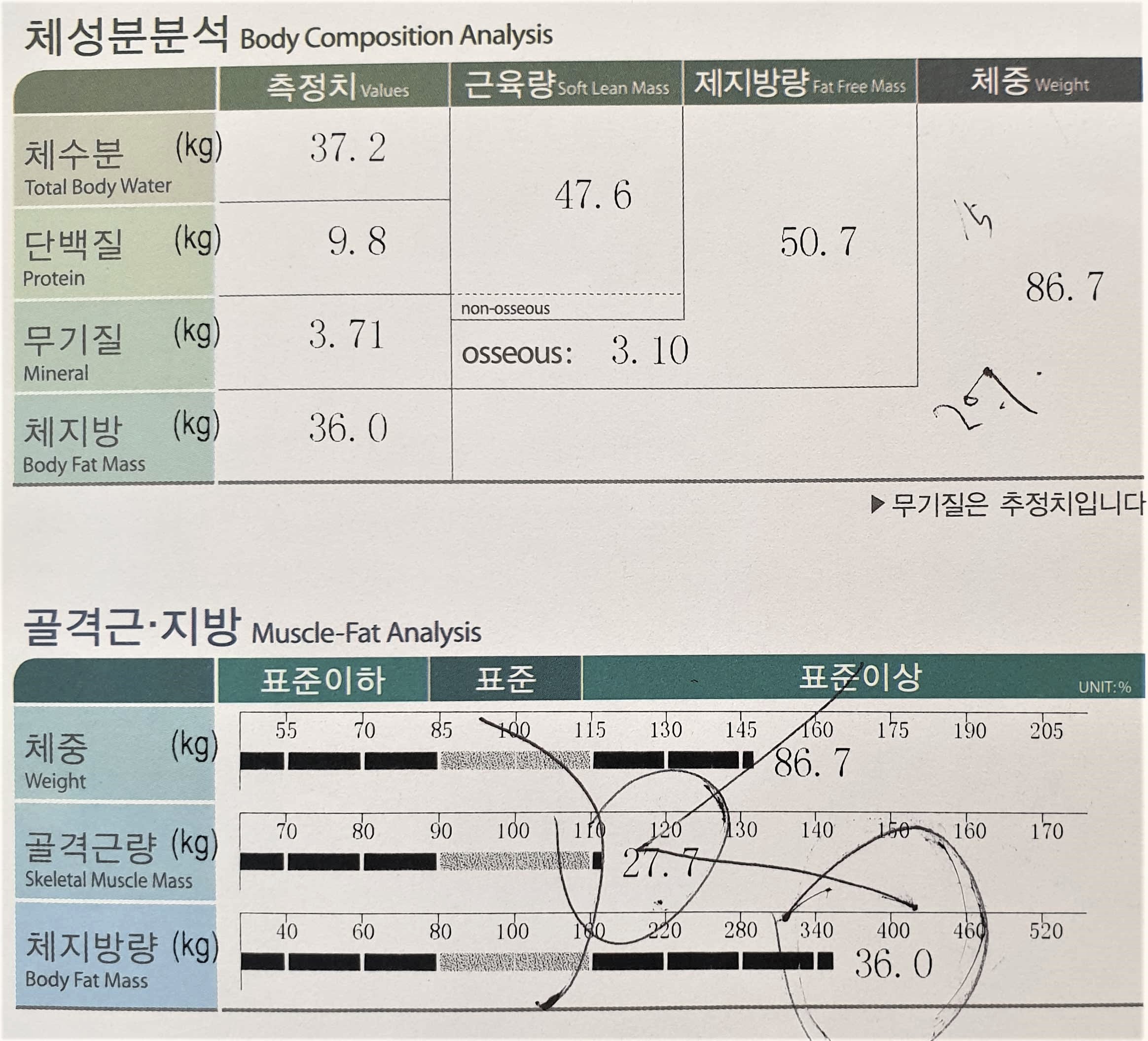 전후사진