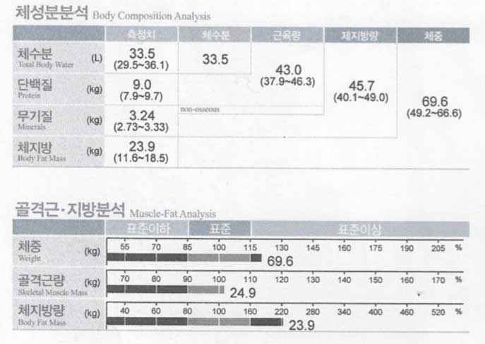 전후사진