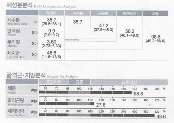 전후사진