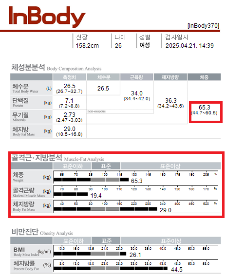 전후사진