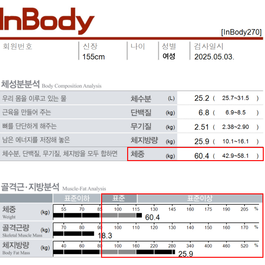 전후사진