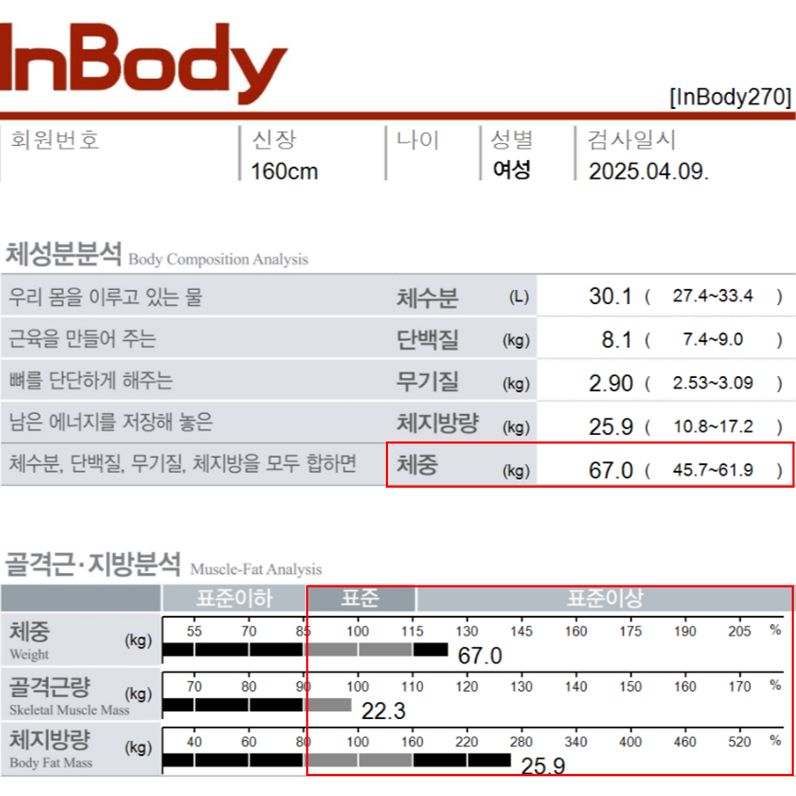 전후사진