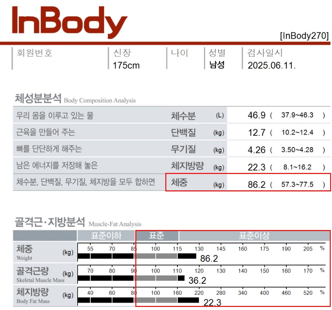 전후사진