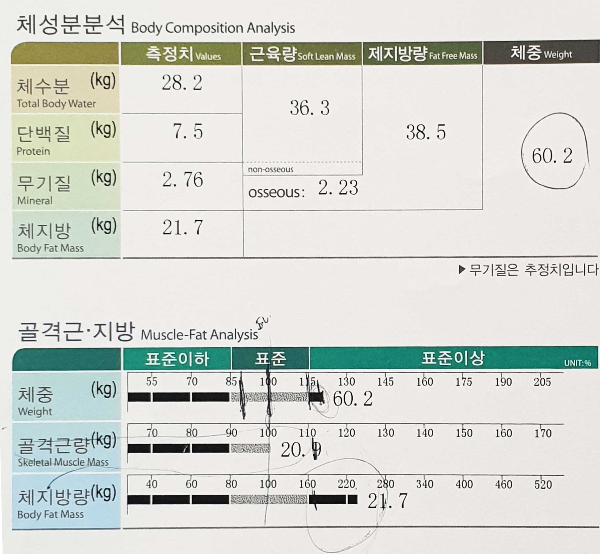 전후사진