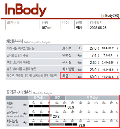 전후사진