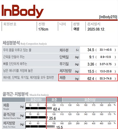 전후사진