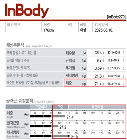 전후사진