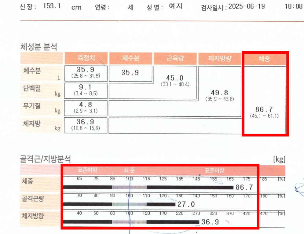 치료 전