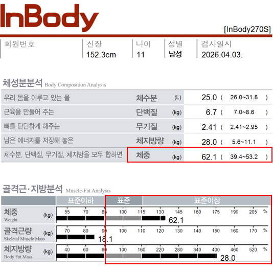 전후사진