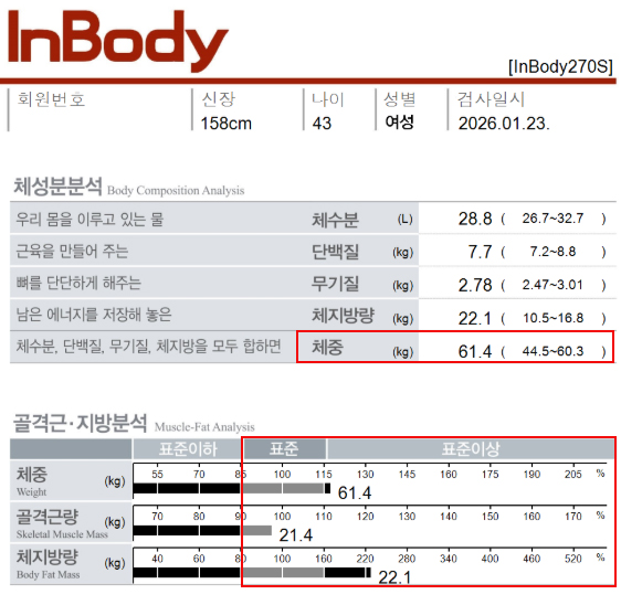전후사진