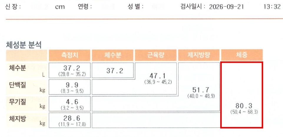전후사진